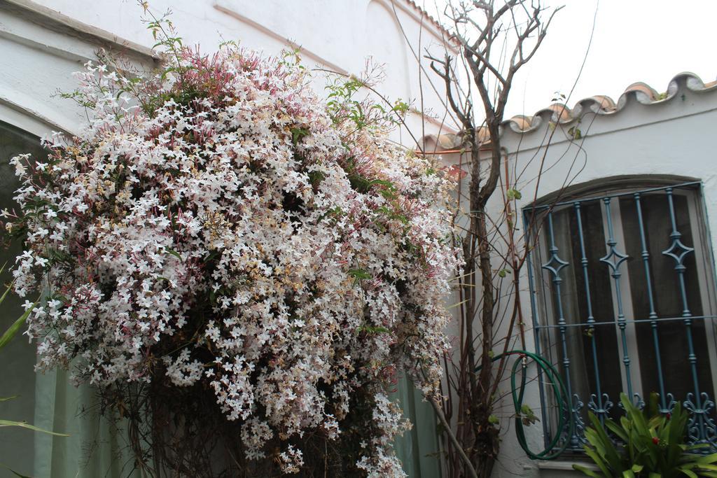 Casa Colonia Villa ลาลิเนียเดลากอนเซ็ปซีออน ภายนอก รูปภาพ